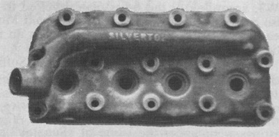 Silvertop_Head.jpg (26168 bytes)